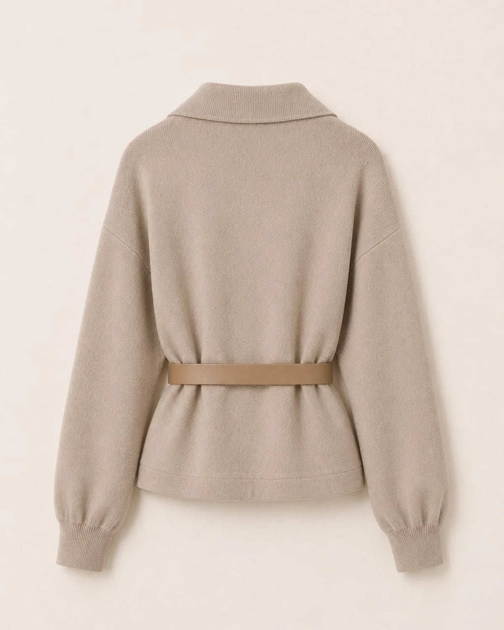 Ensemble CAMERON