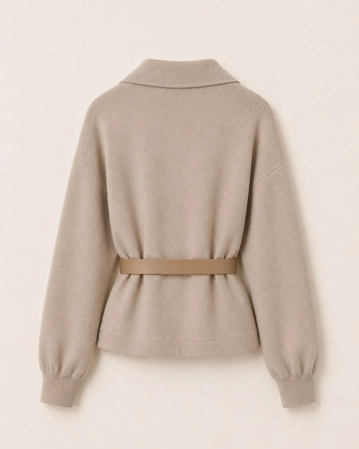 Ensemble CAMERON